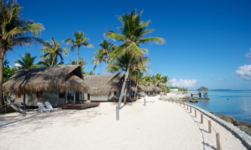 Maitai Rangiroa